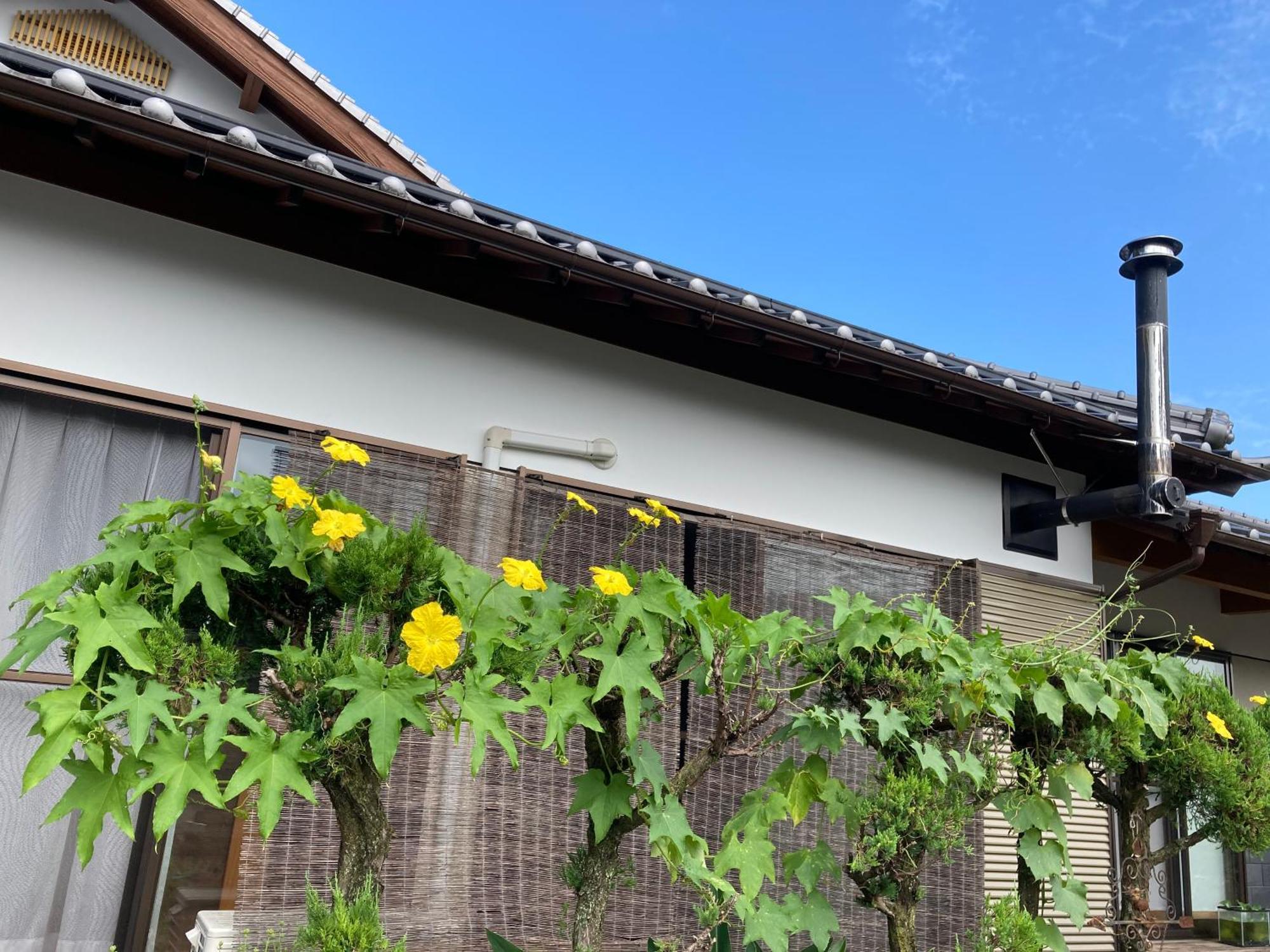 体験型農家民泊「お陽さまと風」 Bungoono Exterior foto