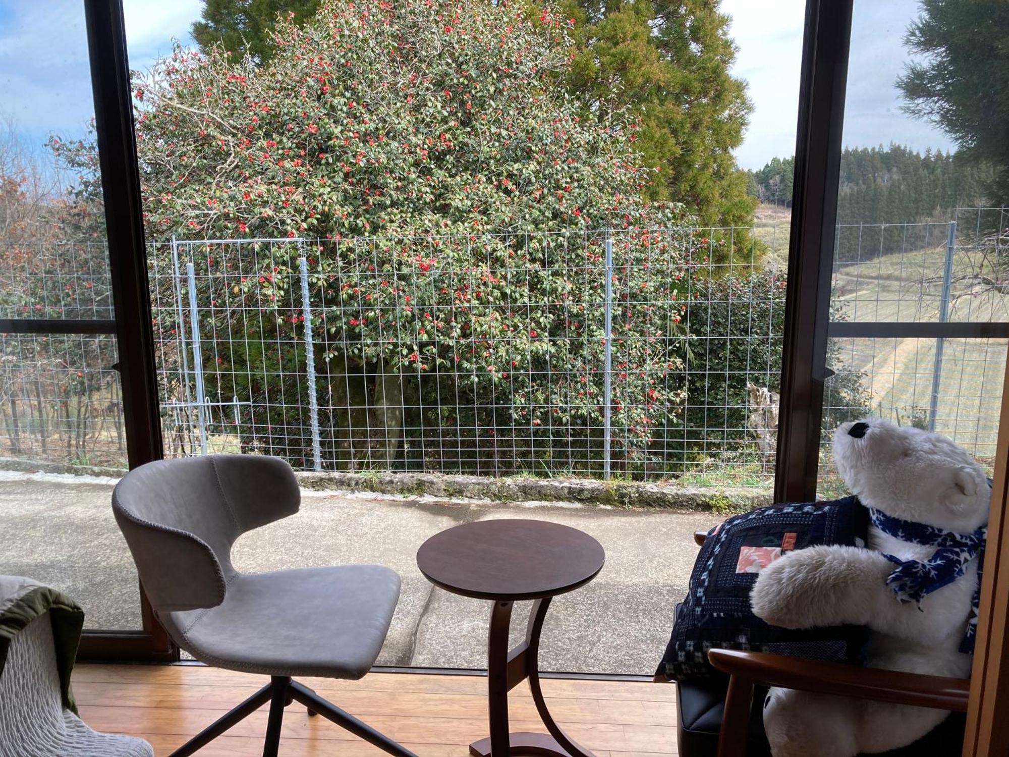 体験型農家民泊「お陽さまと風」 Bungoono Exterior foto